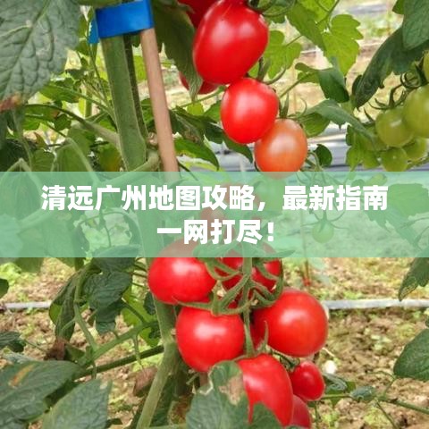 清远广州地图攻略,最新指南一网打尽!