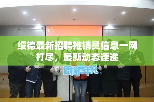 绥德最新招聘推销员信息一网打尽,最新动态速递