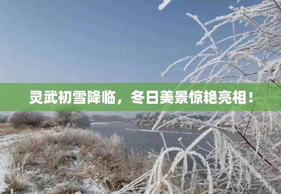灵武初雪降临,冬日美景惊艳亮相!