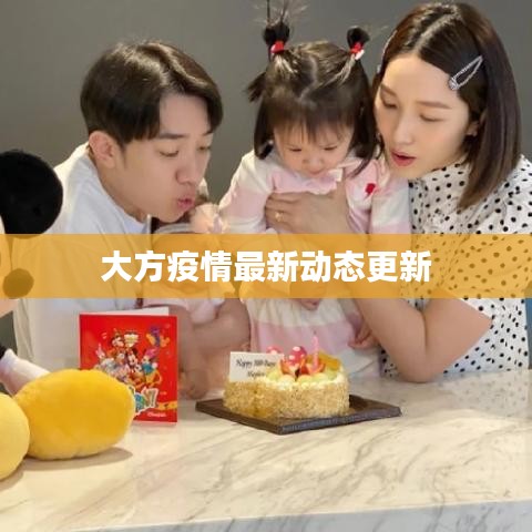 大方疫情最新动态更新