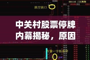 中关村股票停牌内幕揭秘,原因、影响及未来展望