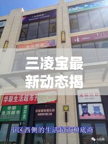 三凌宝最新动态揭秘,今日消息一网打尽!