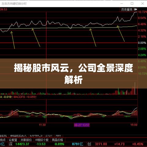 揭秘股市风云,公司全景深度解析