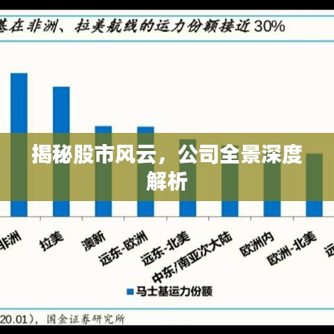 揭秘股市风云,公司全景深度解析