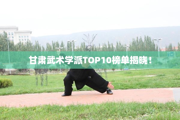 甘肃武术学派TOP10榜单揭晓!