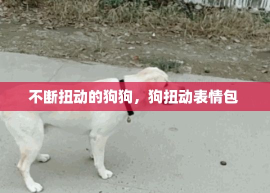 不断扭动的狗狗,狗扭动表情包