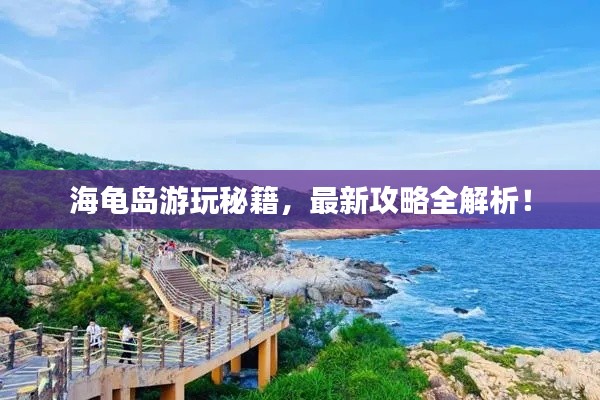 海龟岛游玩秘籍,最新攻略全解析!